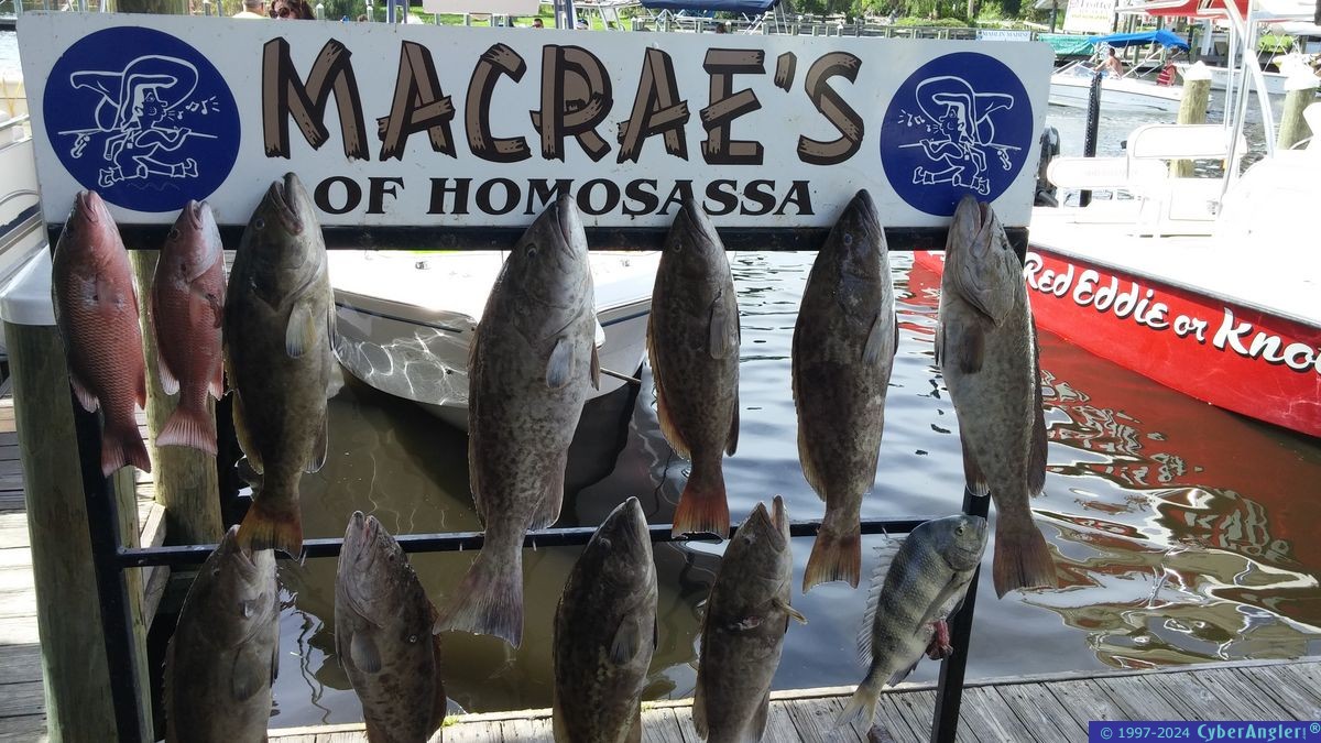 Click to Enlarge Photo