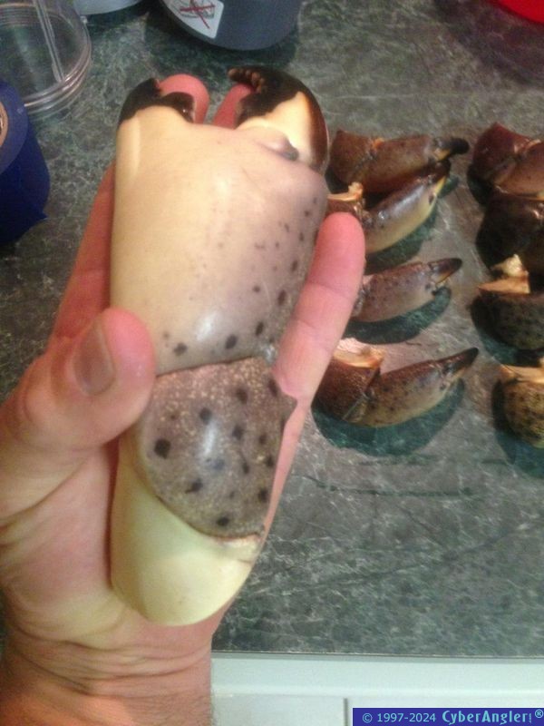 Click to Enlarge Photo