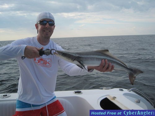 27-inch cobia