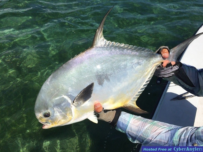 permit-beauty700x525