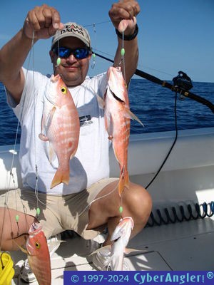 Click to Enlarge Photo