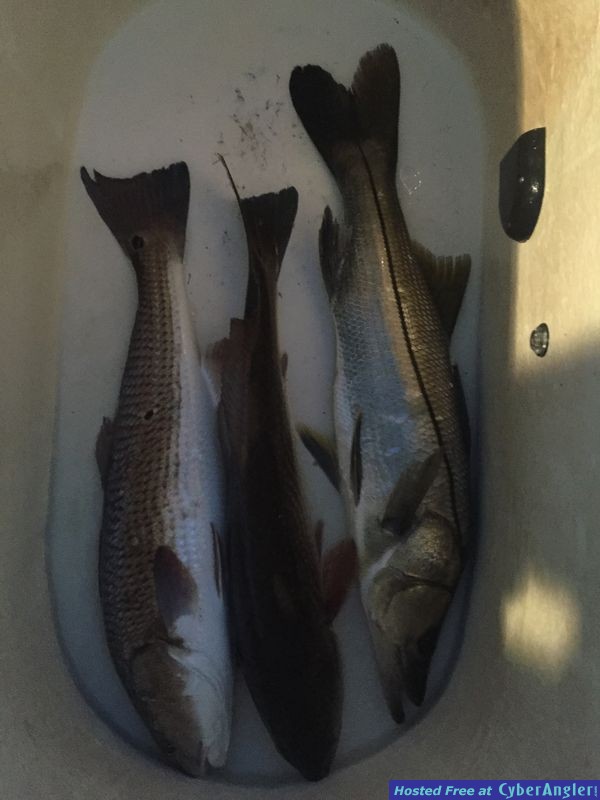October - November Fishing is Phenominal