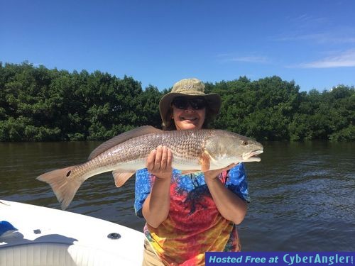 Click to Enlarge Photo