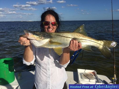 Click to Enlarge Photo