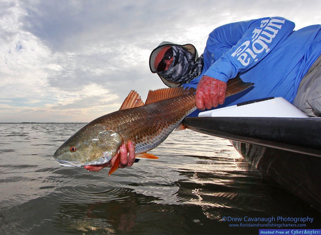 Backcountry Mosquito Lagoon