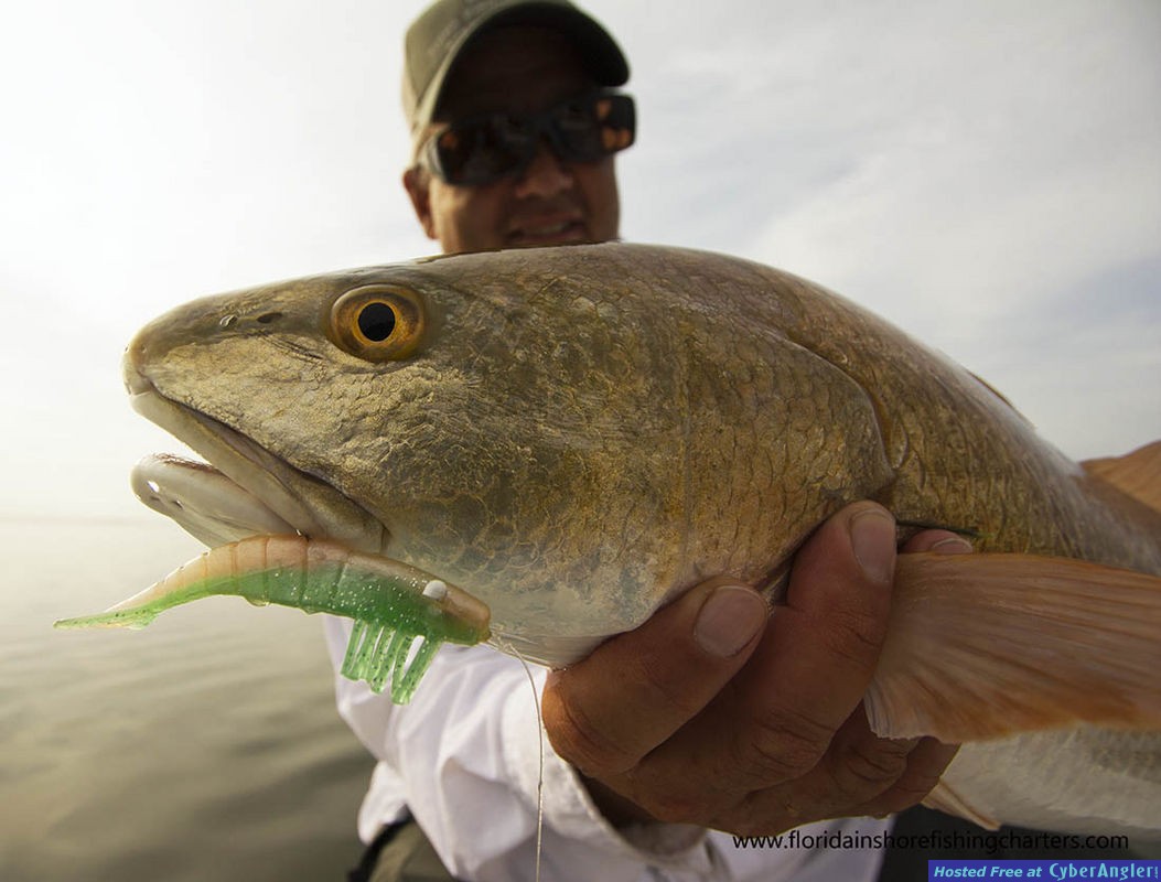 Backcountry Mosquito Lagoon