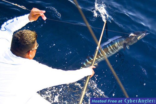 Click to Enlarge Photo