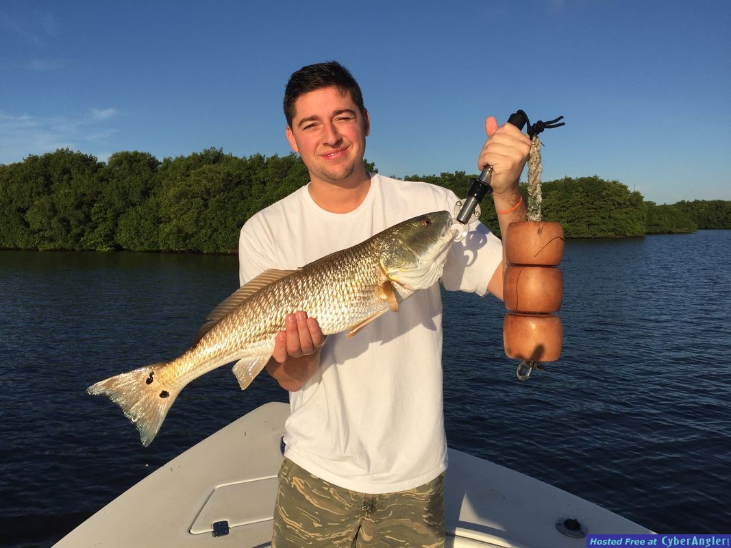 Giant 25lb snook on 10lb Test