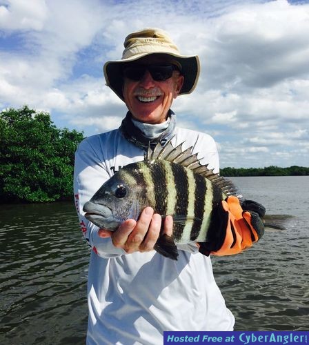 Backbay Sheepshead