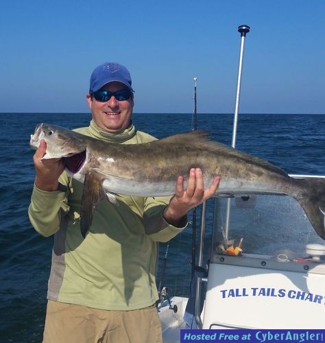 Early Fall Cobia