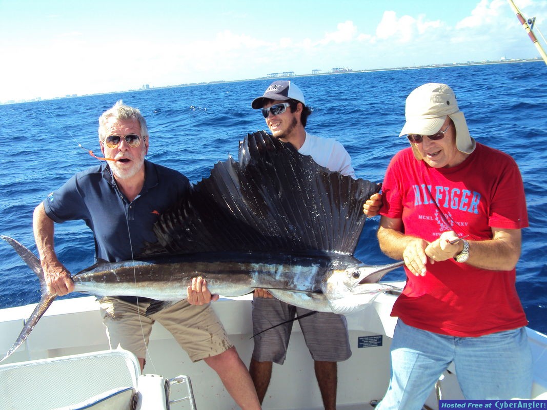 Sailfish_Dirk