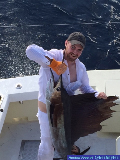 Sailfish