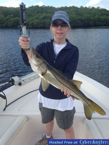 Click to Enlarge Photo