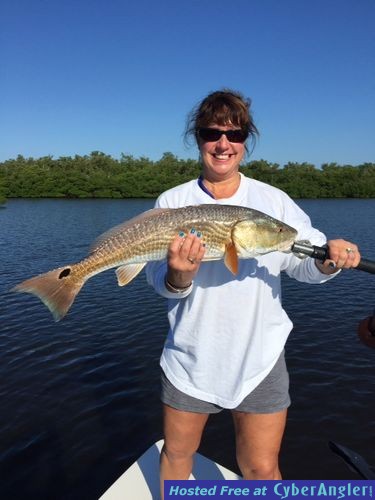 Click to Enlarge Photo