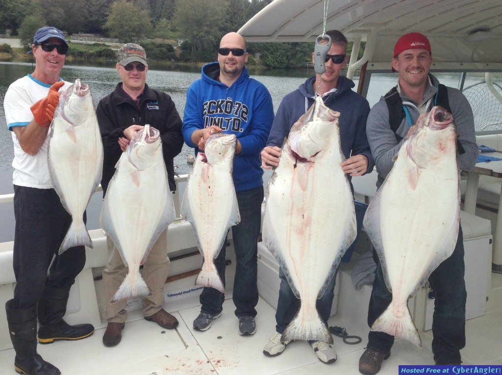 Salmon and Halibut 2015