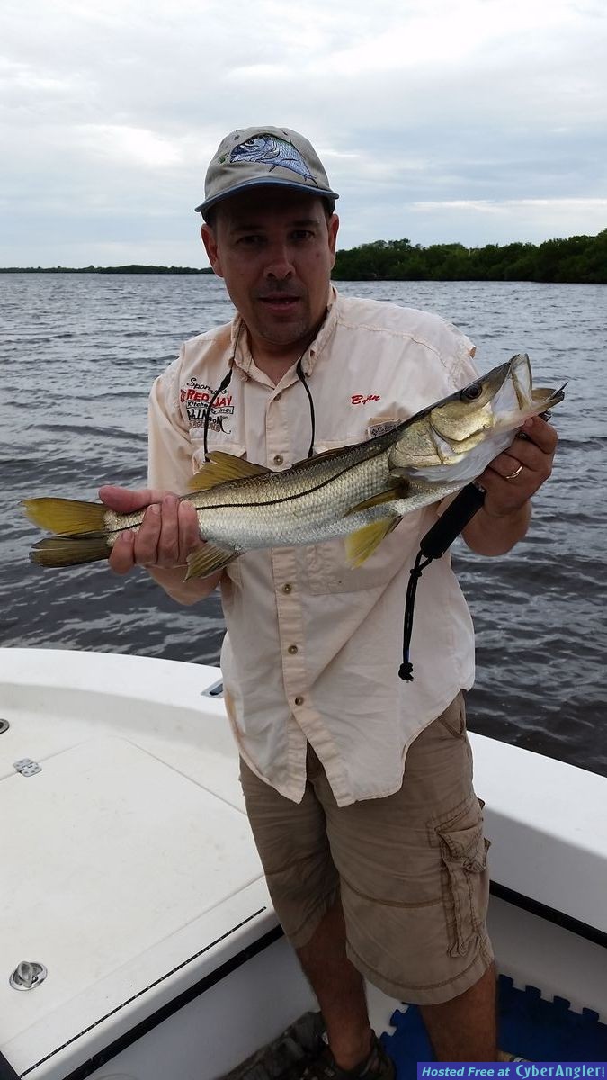 Brian snook