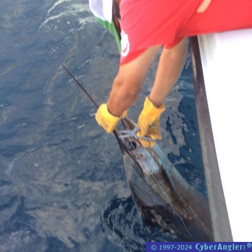 Click to Enlarge Photo