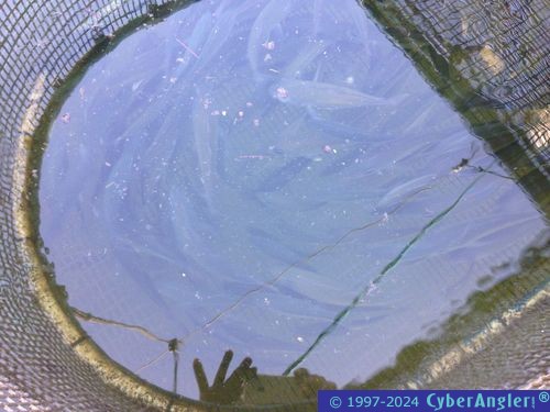 Click to Enlarge Photo