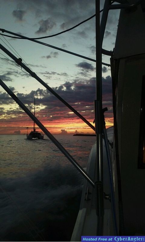 Fort Lauderdale fishing Swordfish and Mahi