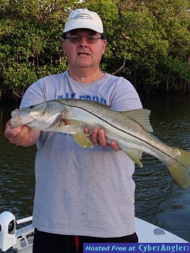 Key Largo Snook