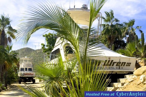 Click to Enlarge Photo