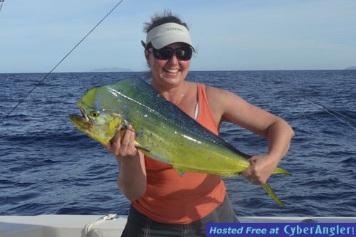 Click to Enlarge Photo