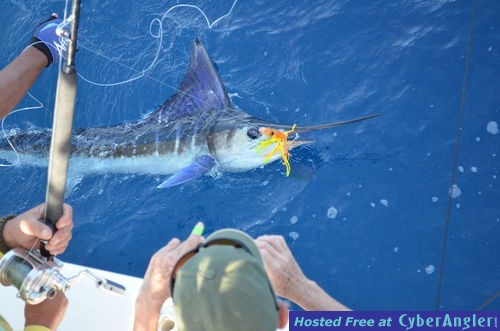 Click to Enlarge Photo