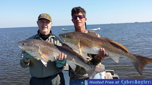 Louisiana Redfish