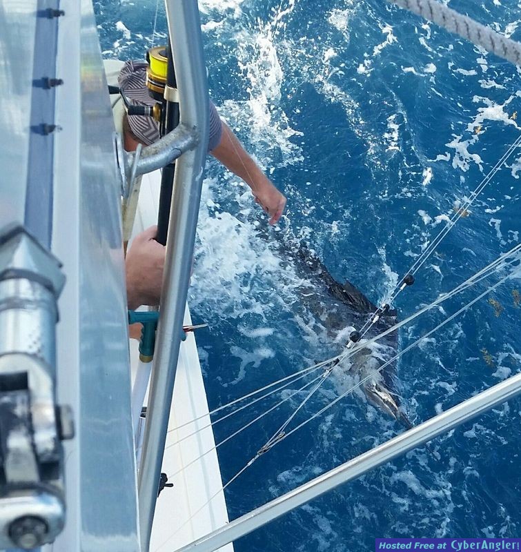 Fort Lauderdale fishing charters