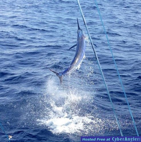 Click to Enlarge Photo