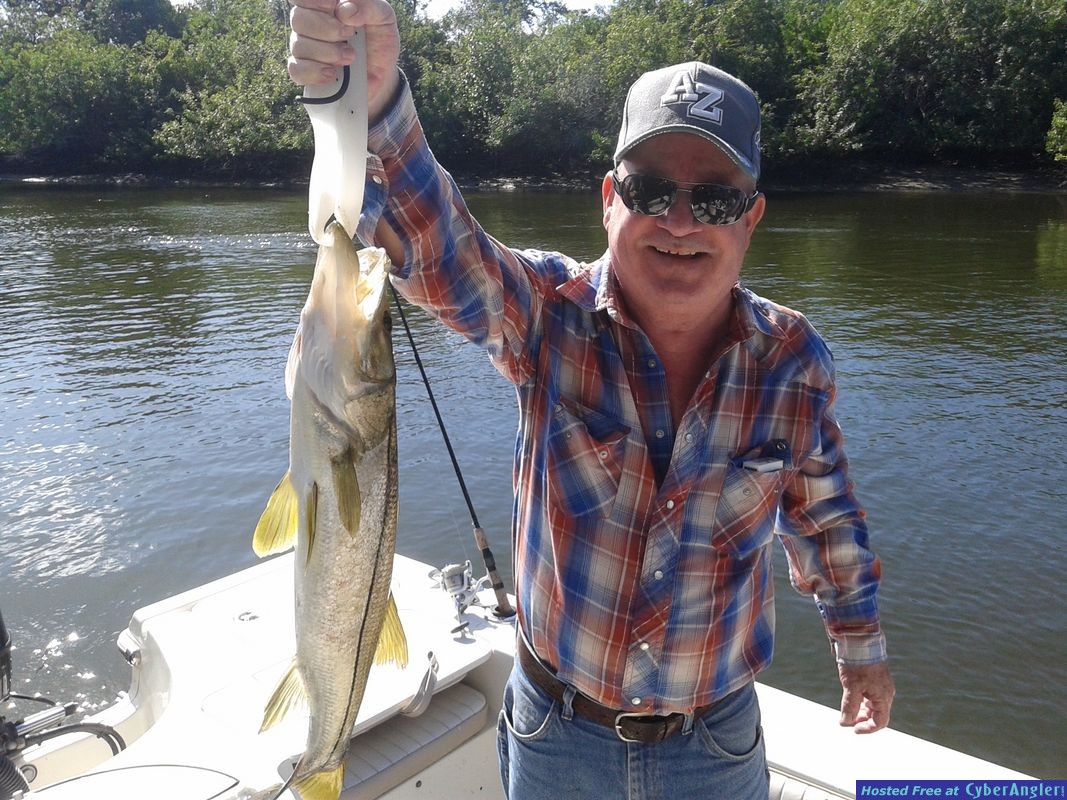 tampa bay snook