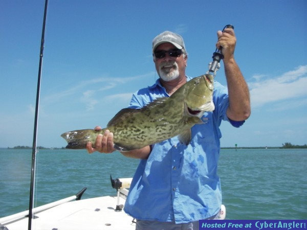 Gag Grouper