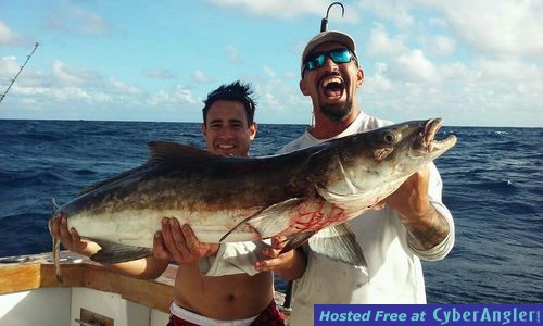 Click to Enlarge Photo