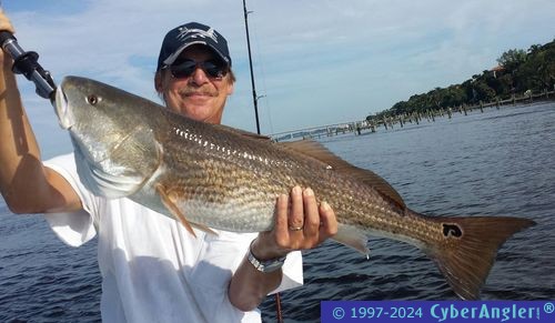 Fishing Stuart and the St. Lucie River