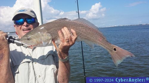 Fishing Stuart and the St. Lucie River