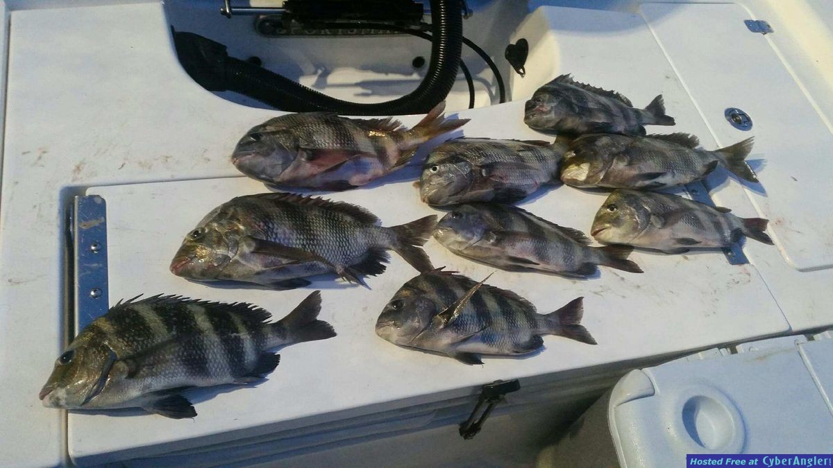 Fish Time Fishing Charters