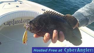 Click to Enlarge Photo