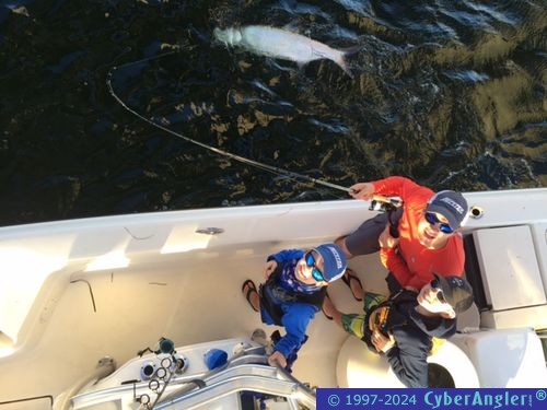 Click to Enlarge Photo