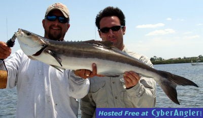 4-23-2008cobia