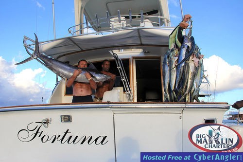 Blue Marlin Charters Punta Cana