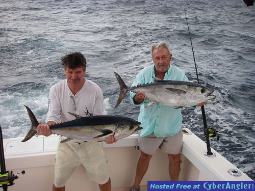 Sailfish,Dolphin &amp; Tuna