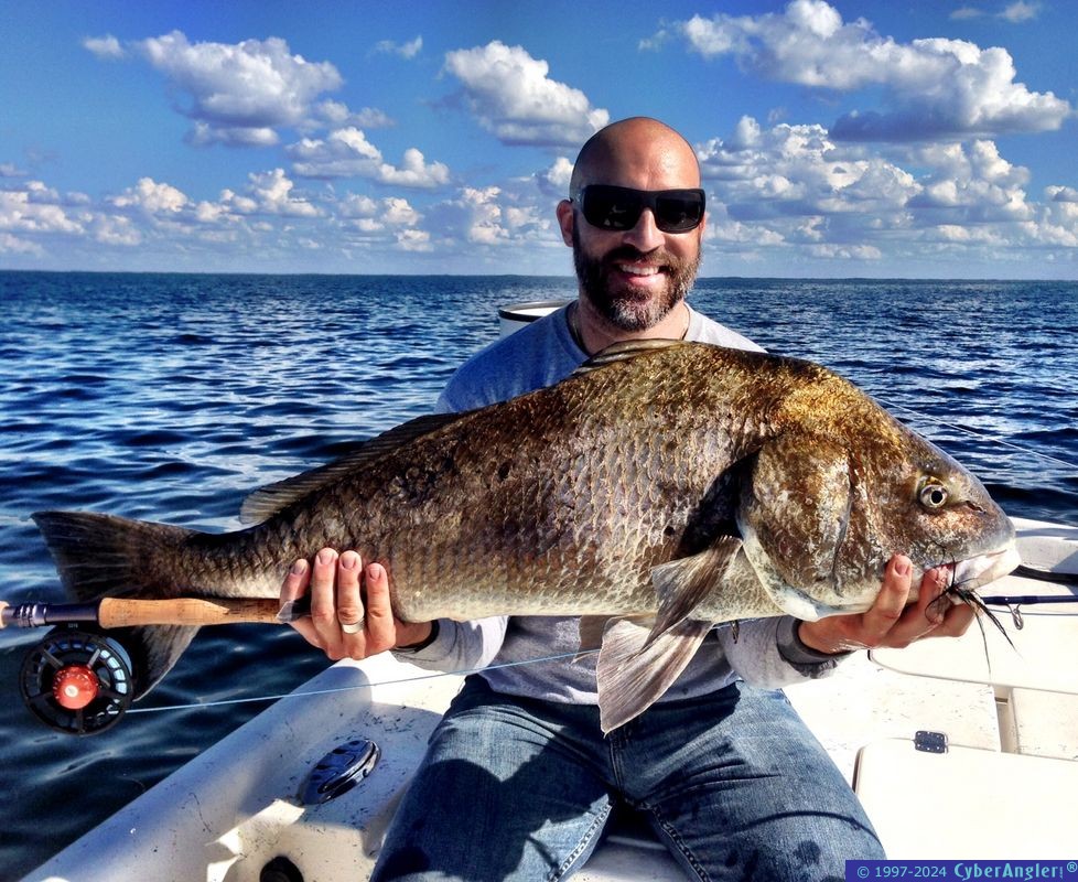 Crystal River and Homosassa, FL