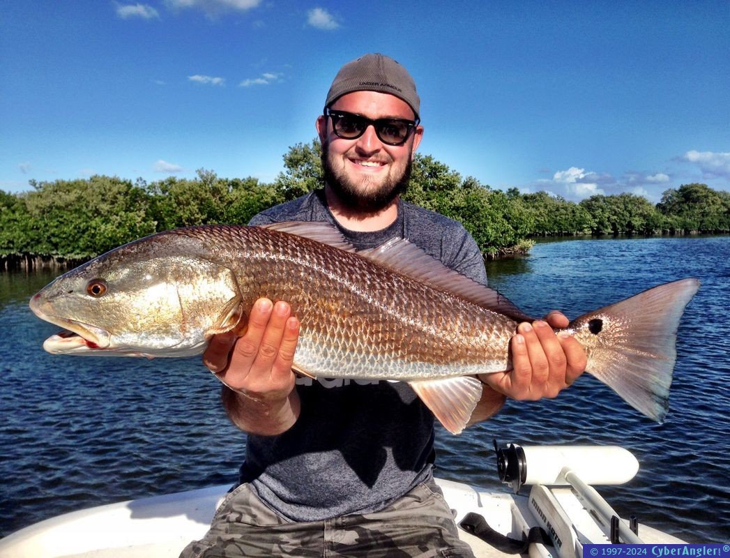 Crystal River and Homosassa, FL
