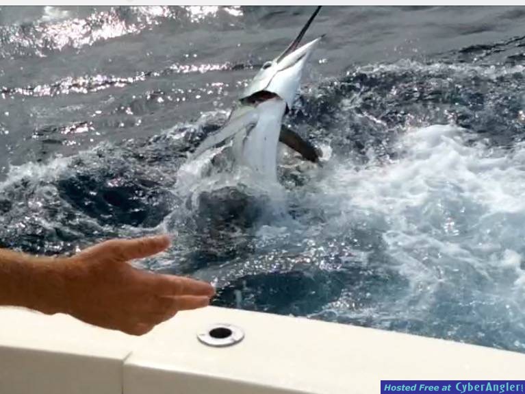 Fishing trips in Ft. Lauderdale