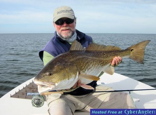 Click to Enlarge Photo