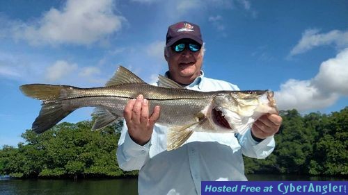 Inshore Snook