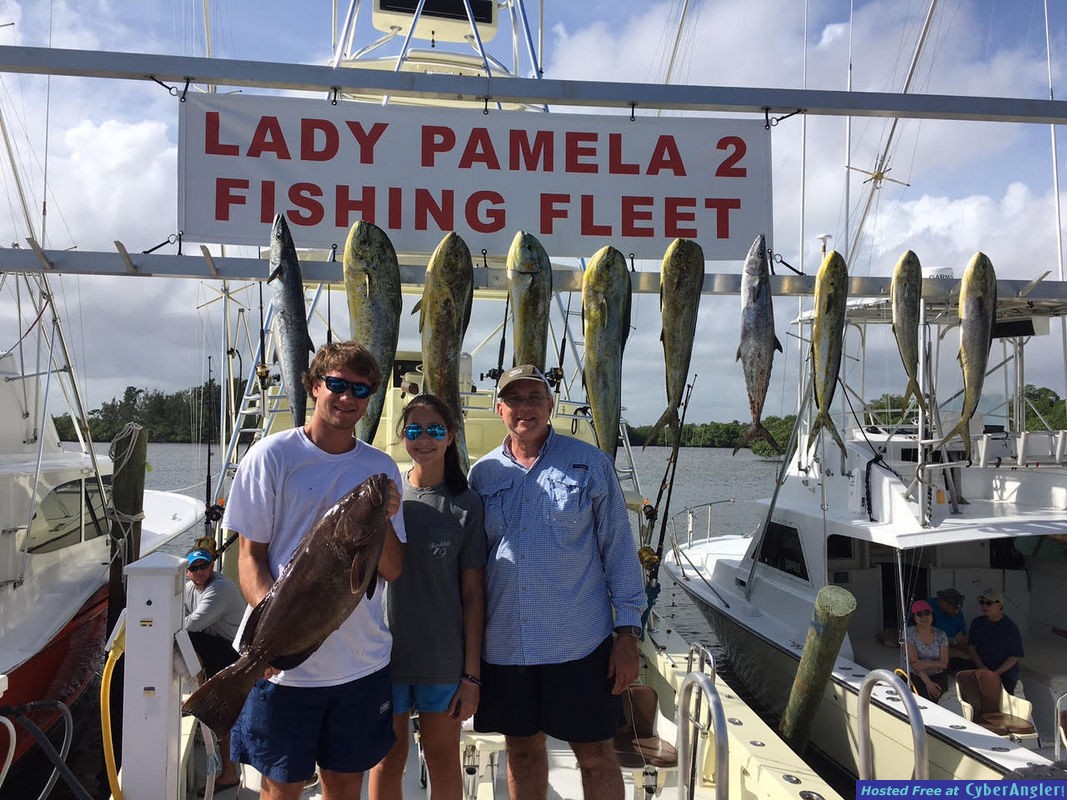 Mahi MAHI