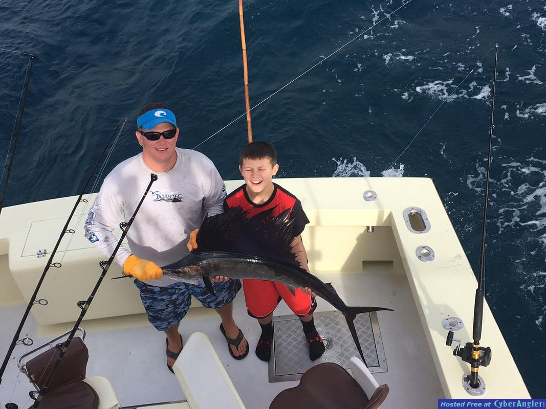 Sailfish