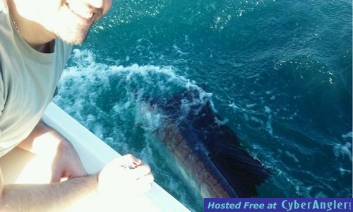 Fort Lauderdale fishing yields Bronze Whaler Shark