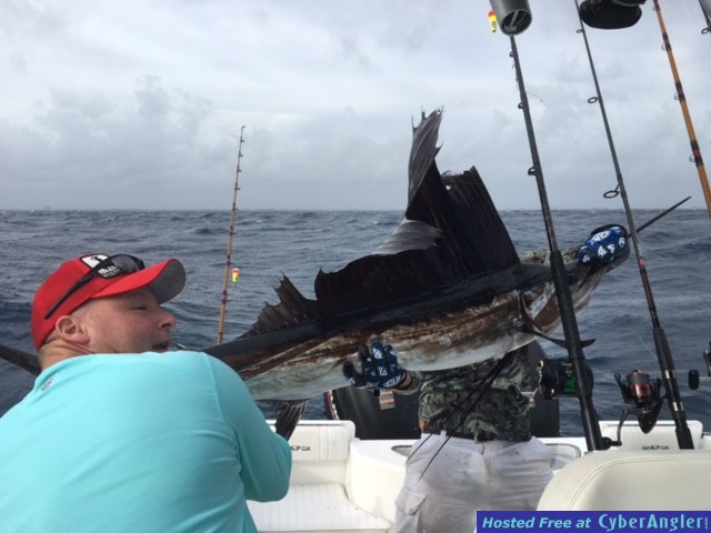 Good Sailfish Bite